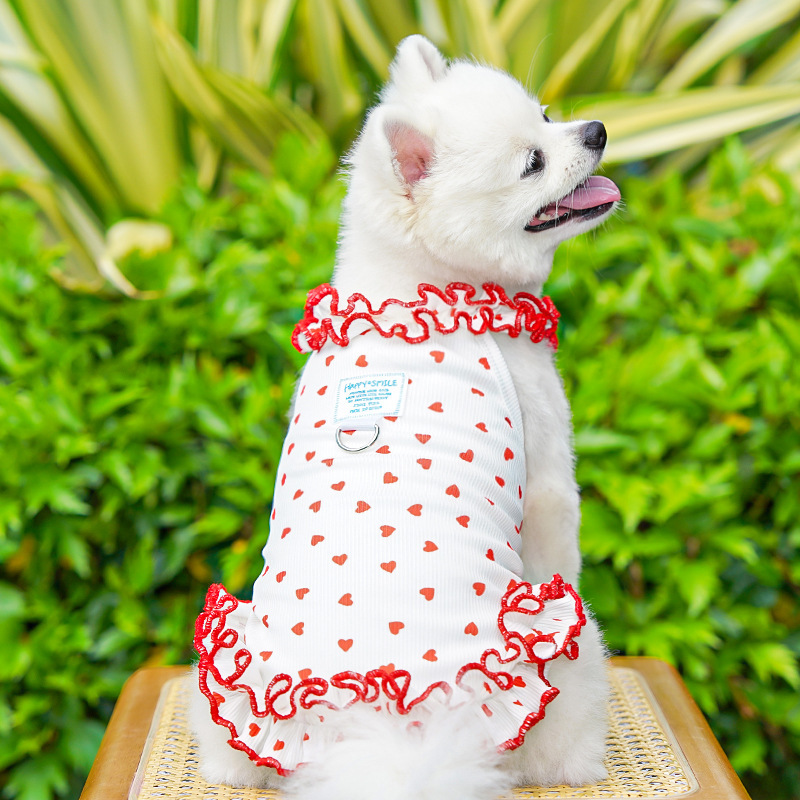 فستان أنيق للكلاب بنقشة الزهور - مراجعة Summer Loving Clothing وسعره